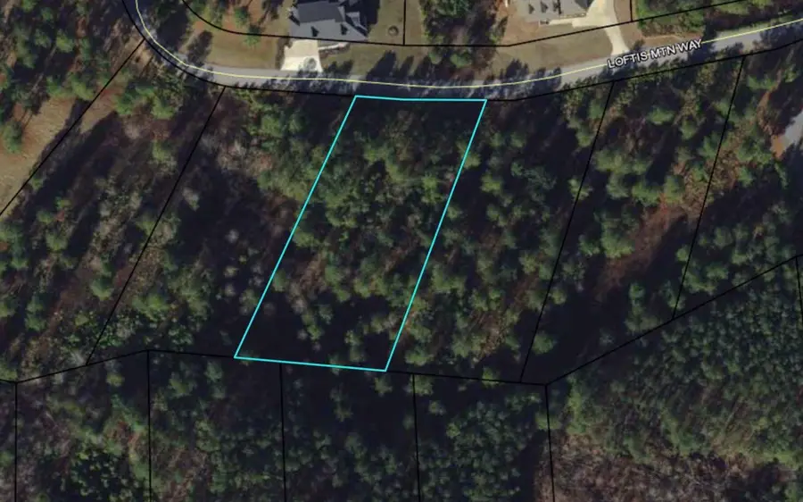 37 Loftis Mountain, Blairsville, GA 30512 - Image #2
