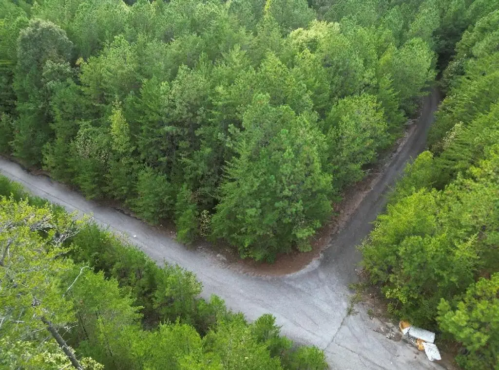 53 Skyline Drive #53, Braswell, GA 30153 - Image #1