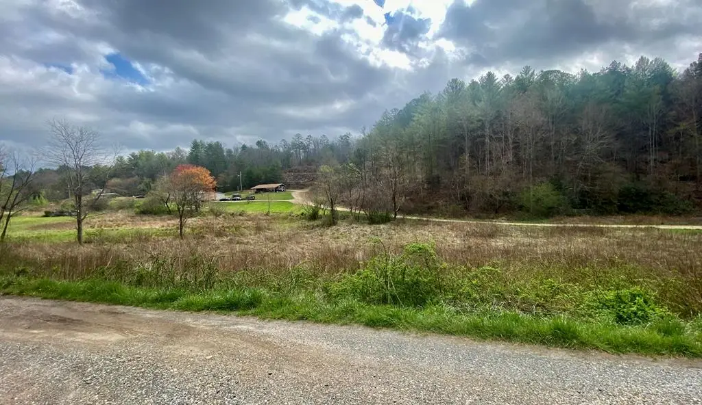 TBD Fall Branch, Murphy, NC 28906 - Image #1