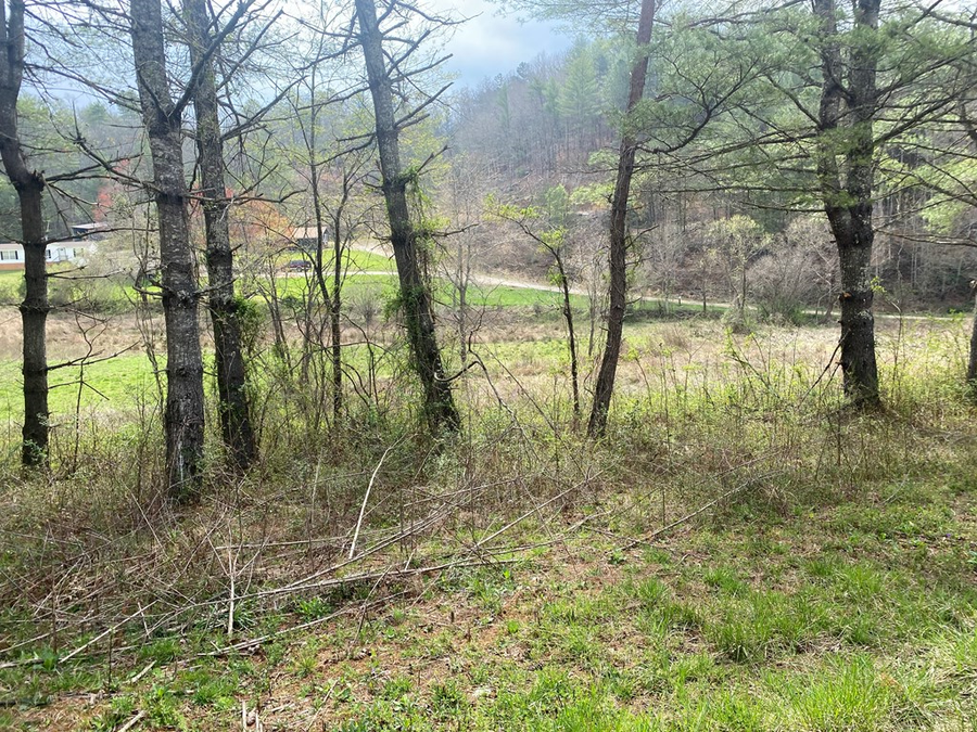 TBD Fall Branch, Murphy, NC 28906 - Image #2