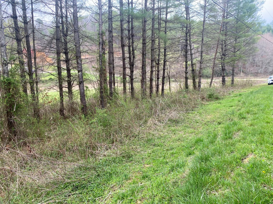 TBD Fall Branch, Murphy, NC 28906 - Image #3