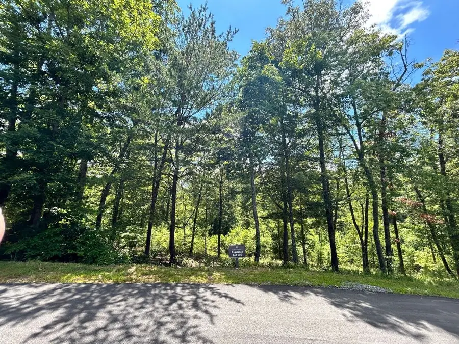 Lot 195 Trails End Way, Mineral Bluff, GA 30559 - Image #2
