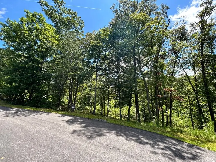 Lot 195 Trails End Way, Mineral Bluff, GA 30559 - Image #3