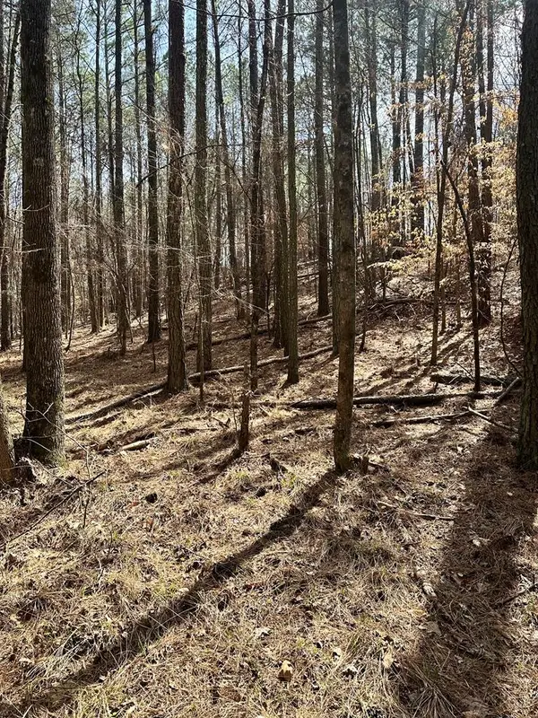 0 SW Autry Road, Plainville, GA 30733