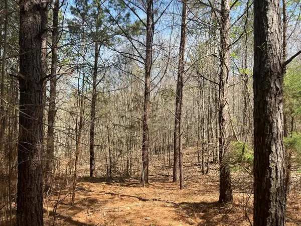 16 Unbridled Road, Rome, GA 30161