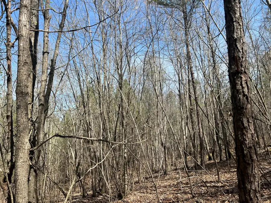 16 Unbridled Road, Rome, GA 30161 - #2