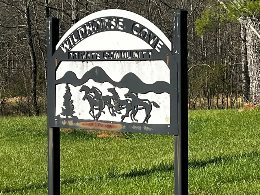 169 Wildhorse Cove Circle, Cleveland, GA 30528 - #3