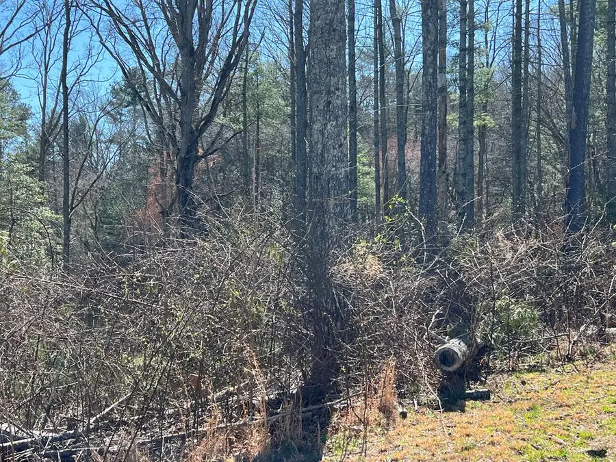 Lot 173 Highland Park, Blairsville, GA 30512 - #3
