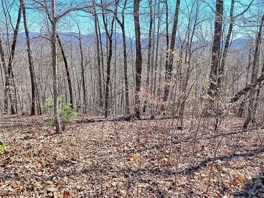 Lot 45-M Pinnacle Drive, Hayesville, NC 28904 - Image #2