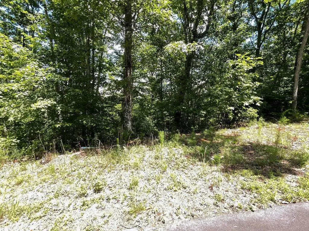 Lot 16 Big Cove Drive, Hiawassee, GA 30546 - Image #1
