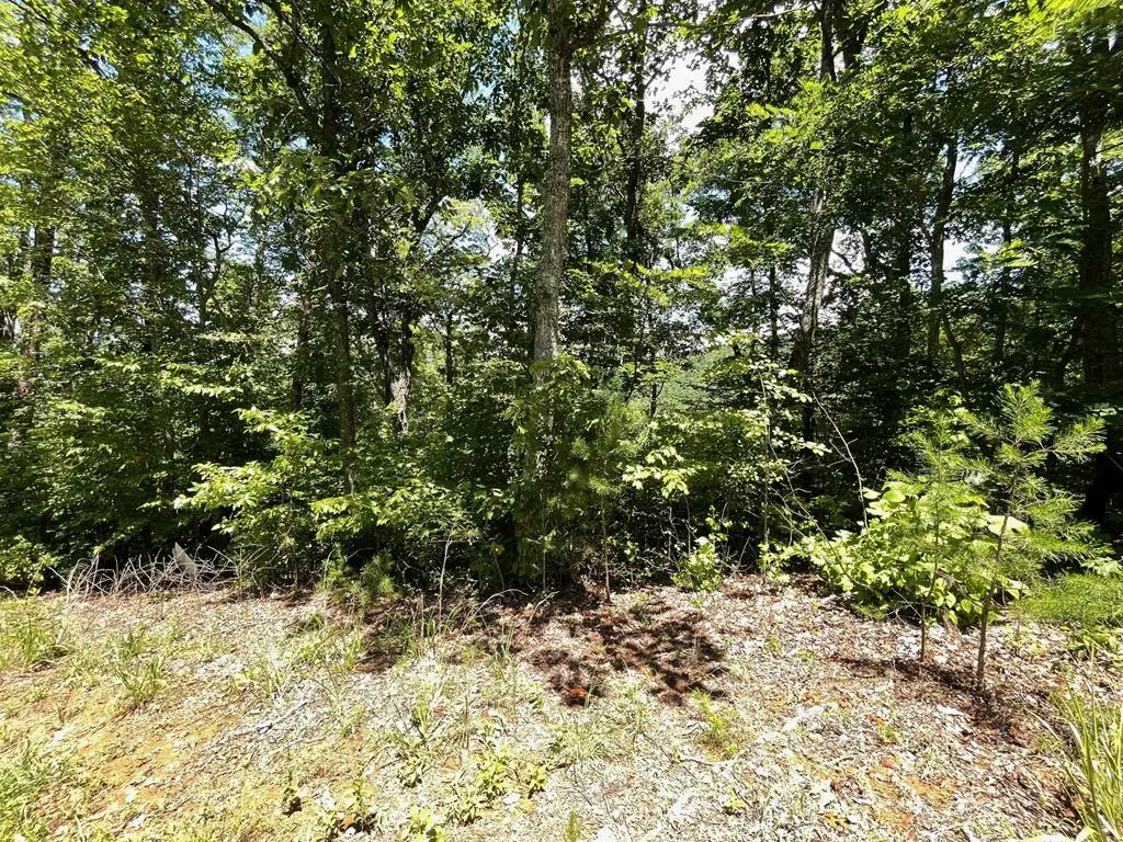 Lot 17 Big Cove Drive, Hiawassee, GA 30546 - Image #1