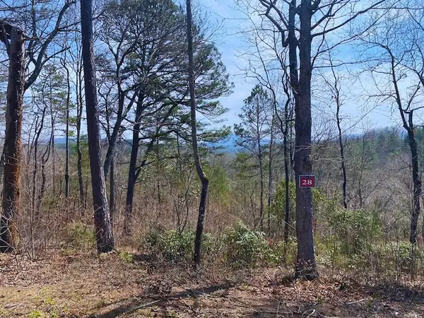 Lot 28 Brasstown Trails, Brasstown, NC 28909
