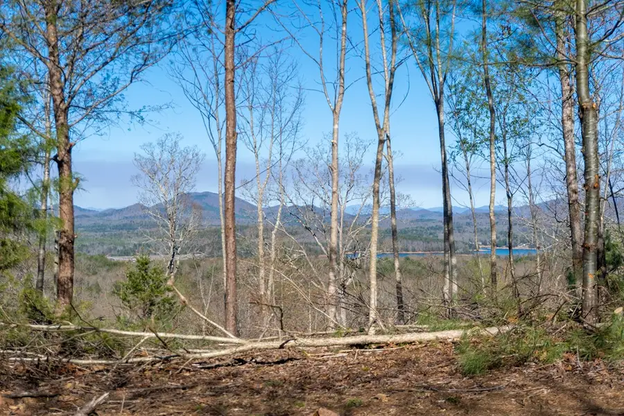 41AC Loving Road, Blairsville, GA 30512 - Image #3