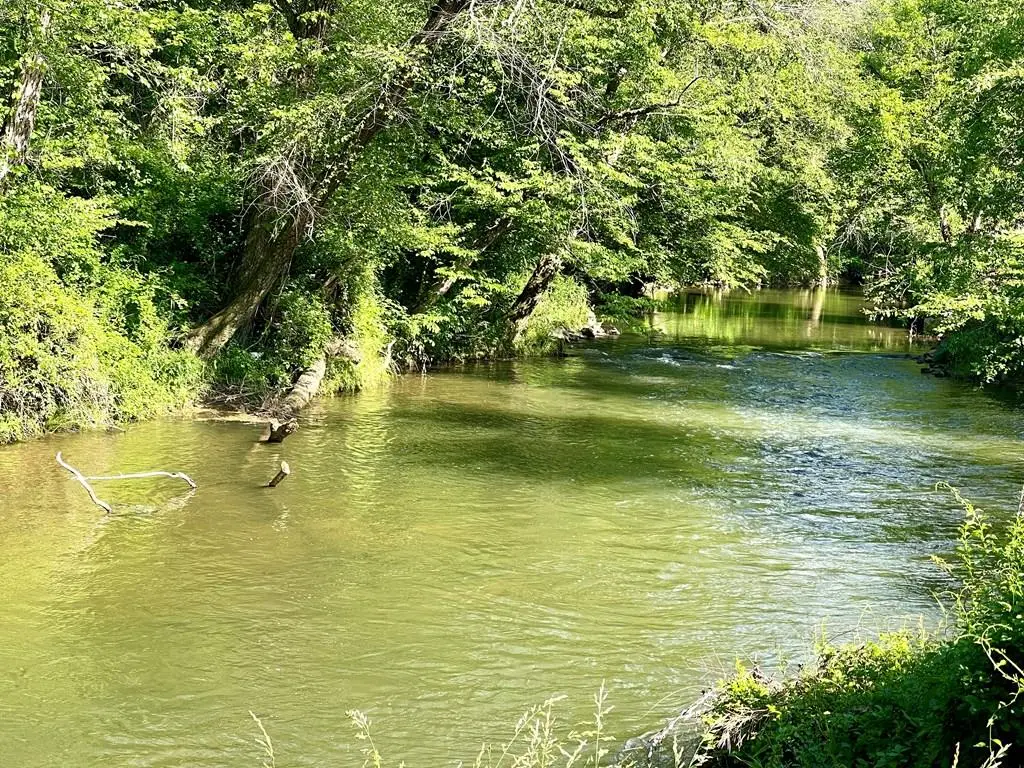 Lot 54 Prosperity Drive, Warne, NC 28909 - Image #1