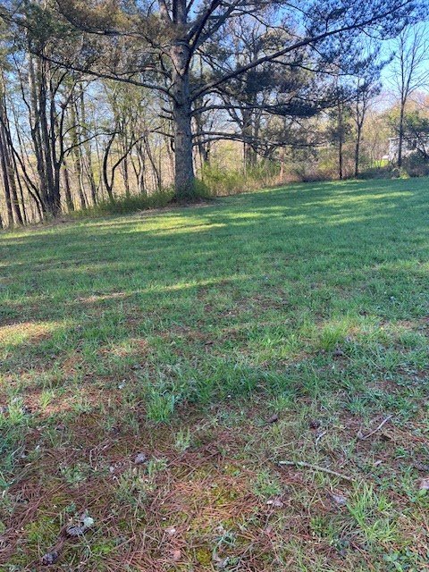 Lot 2 Misty River Sub, Hayesville, NC 28904 - Image #2