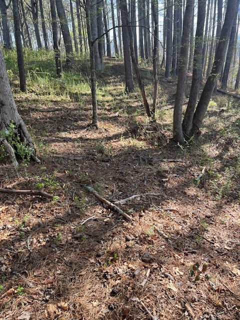 Lot 2 Misty River Sub, Hayesville, NC 28904 - Image #3