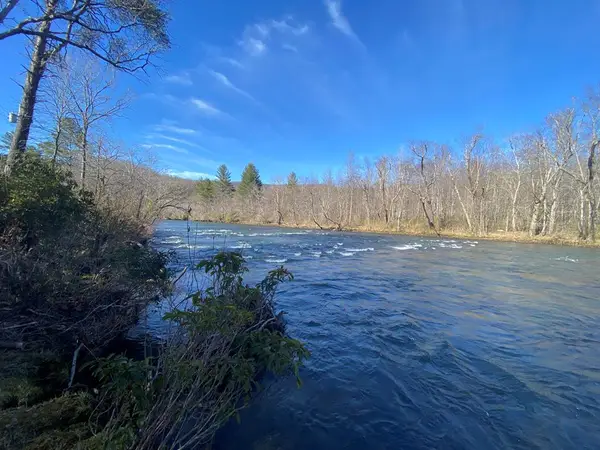 Lot 16 Rushing Water Trail, Hayesville, NC 28904