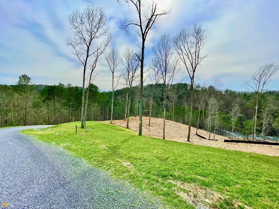241 High River Crossing, Ellijay, GA 30540 - #3