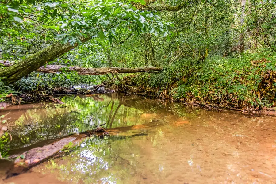 416 Millstone Mountain, Blue Ridge, GA 30513 - Image #3