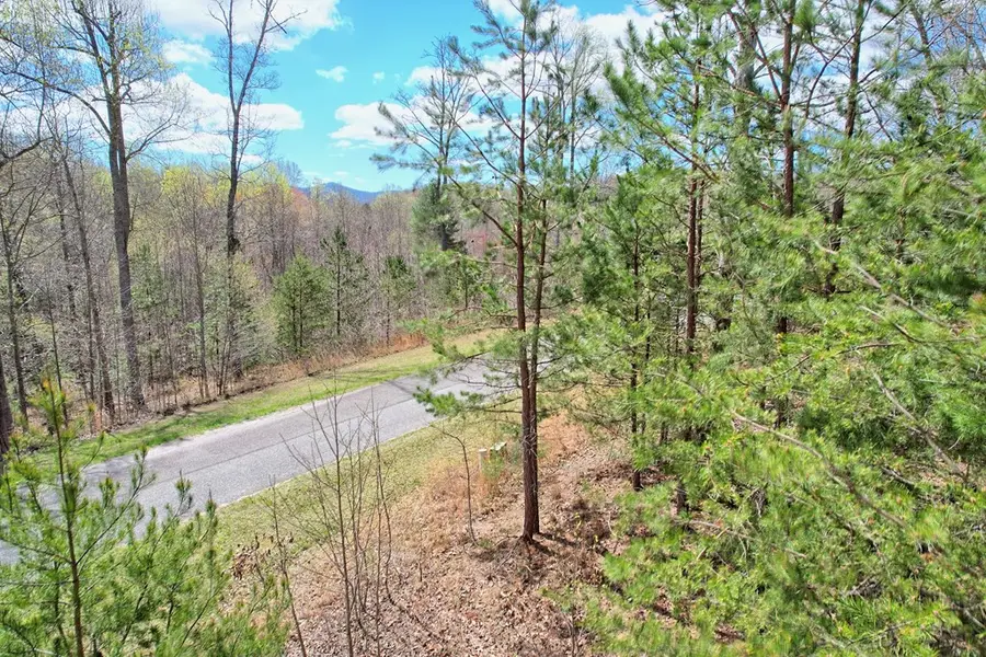 LT 29 Sharp Top Settlement, Blairsville, GA 30512 - Image #3