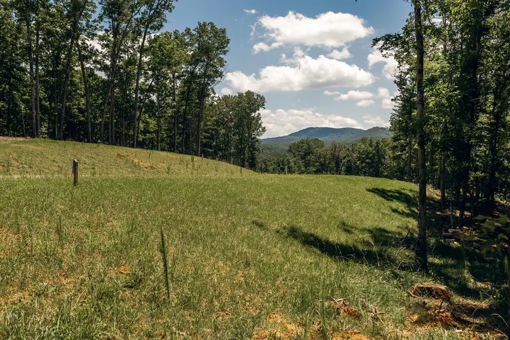 Lot 133 Ridges Of Blue Ridge, Morganton, GA 30560 - #1