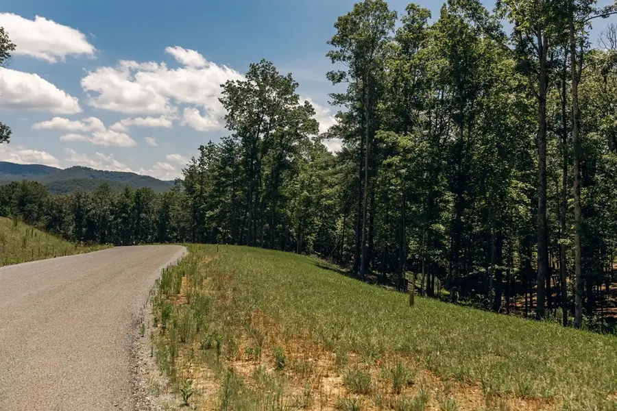 Lot 133 Ridges Of Blue Ridge, Morganton, GA 30560 - #2