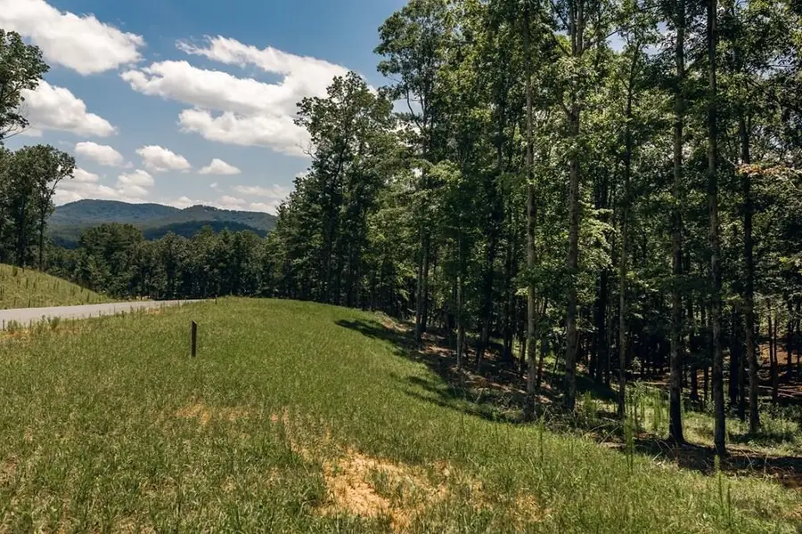 Lot 133 Ridges Of Blue Ridge, Morganton, GA 30560 - #3