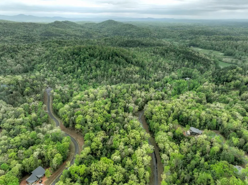 Lot 14 Watersong Trail, Ellijay, GA 30540 - #1