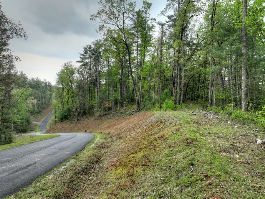 Lot 14 Watersong Trail, Ellijay, GA 30540 - #2