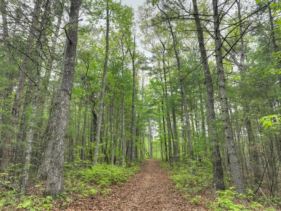 Lot 14 Watersong Trail, Ellijay, GA 30540 - #3