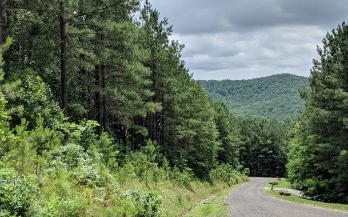 LOT 7 Ridge Top Drive, Ellijay, GA 30536 - Image #1