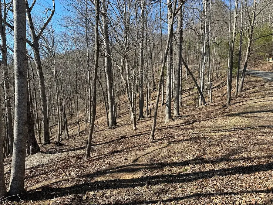 Lot 55 Asheland Cove, Young Harris, GA 30582 - Image #2