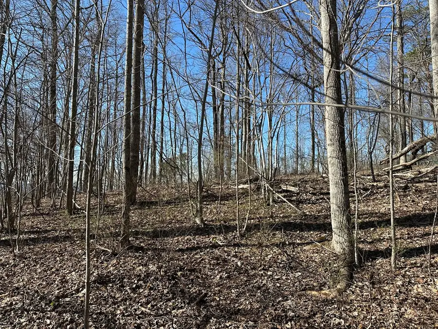 Lot 80 Asheland Cove, Young Harris, GA 30582 - Image #3