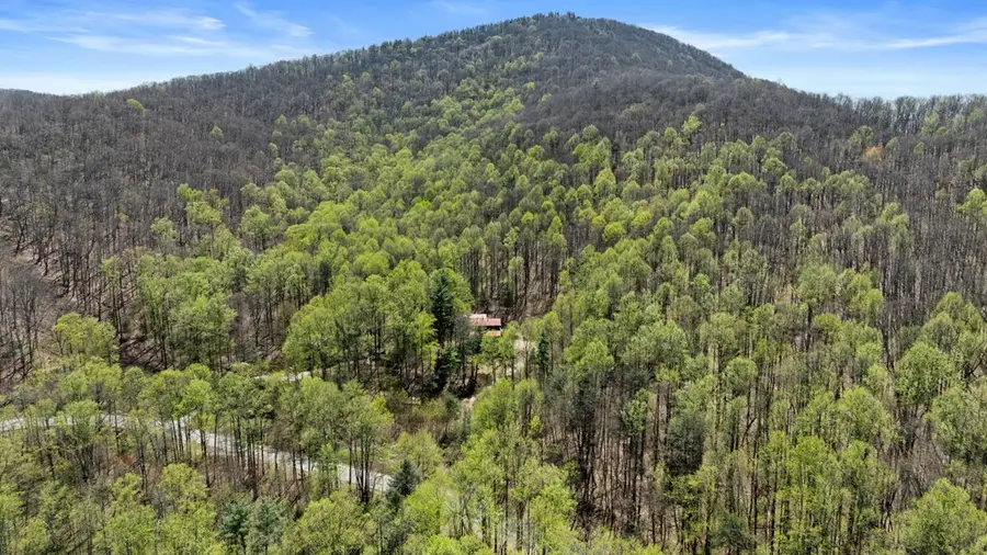 65 Caldwell Mountain Road, Suches, GA 30572 - Image #3