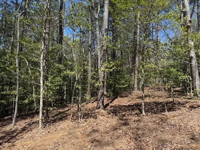 Lot 2 Lynae Lane, Murphy, NC 28906 - Image #2