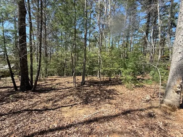 Lot 2 Lynae Lane, Murphy, NC 28906 - Image #3