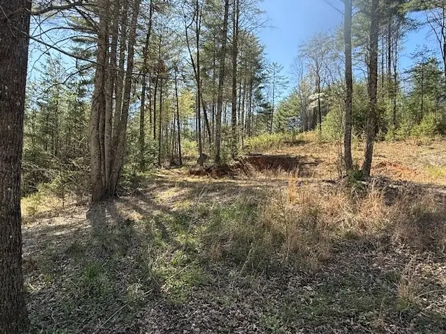 Lt 29A&B Cabernet Way, Murphy, NC 28906 - Image #3