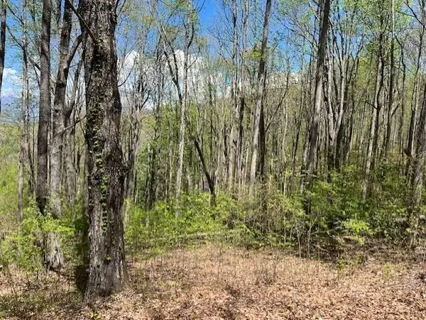 LOT 86 Rocky Knob Estates, Young Harris, GA 30582