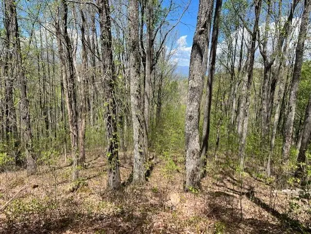 LOT 86 Rocky Knob Estates, Young Harris, GA 30582 - Image #2