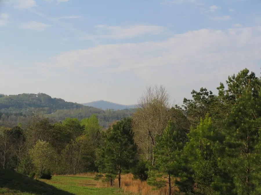 76 Water Oak Lane, Blairsville, GA 30512 - Image #3