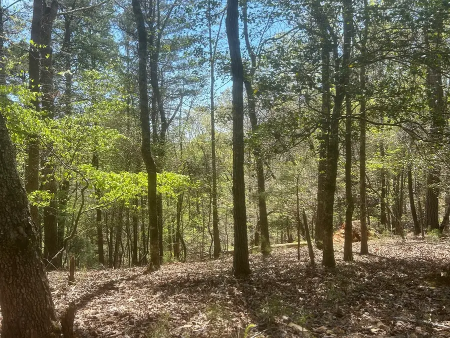 LT1944 Palmetto Drive, Ellijay, GA 30540 - #3