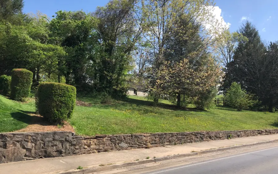 742 E 2nd Street, Blue Ridge, GA 30513 - #2