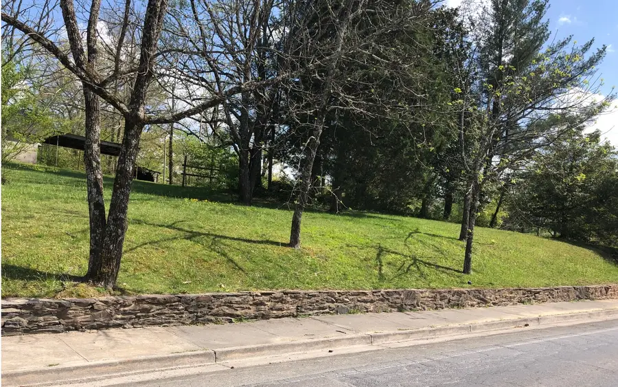 742 E 2nd Street, Blue Ridge, GA 30513 - #3