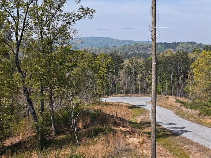 Lot 20 Blalock Mountain Road, Ellijay, GA 30540 - Image #3