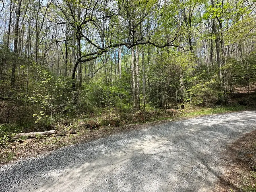 Lot 20 Big Ben Road, Ellijay, GA 30540 - #2