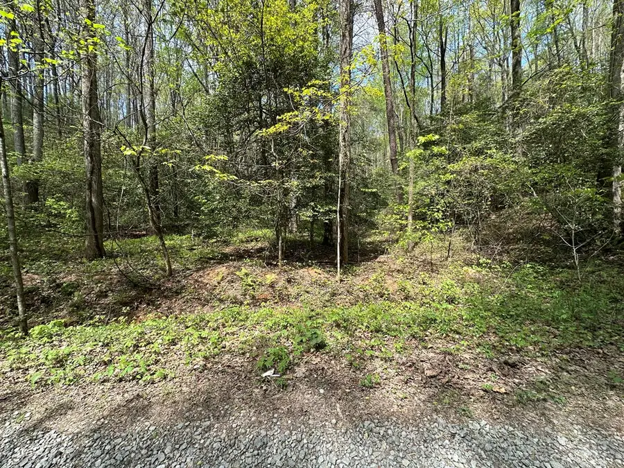 Lot 20 Big Ben Road, Ellijay, GA 30540 - #3