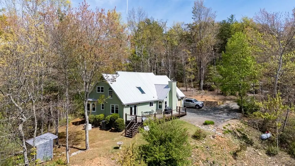 306 Pig Trail, Cherry Log, GA 30522 - #1