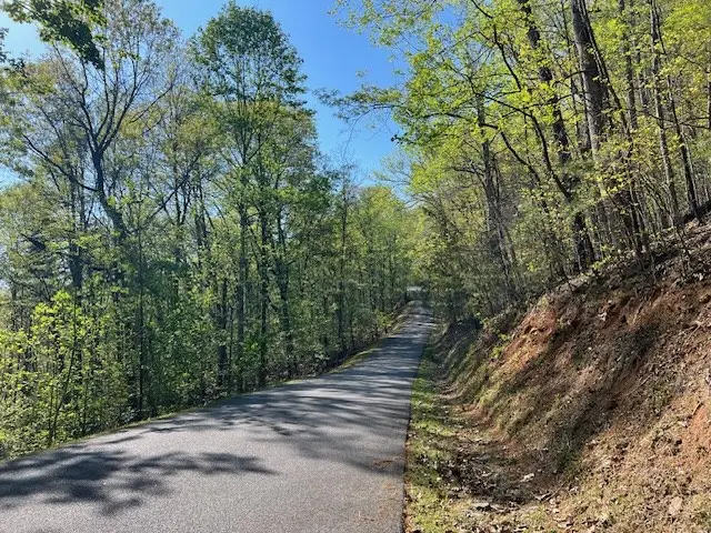 Lot 2B Grandview Drive, Hayesville, NC 28904 - Image #3