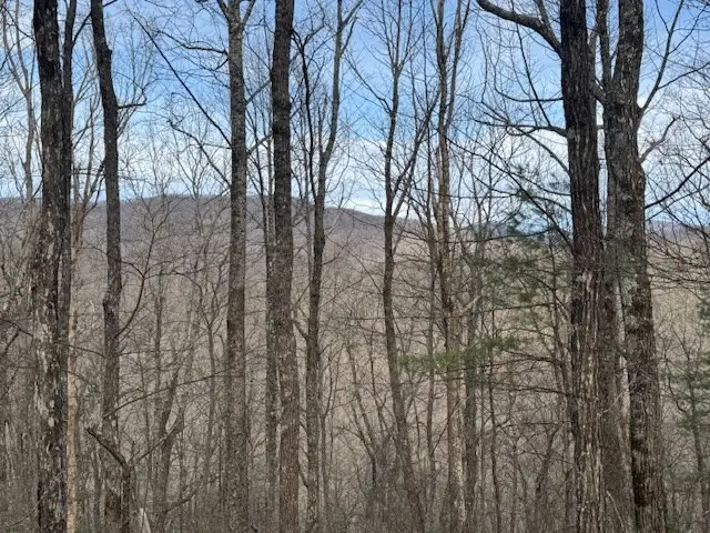 Lt 4,5,6 Abercrombie Estates, Suches, GA 30572 - Image #2