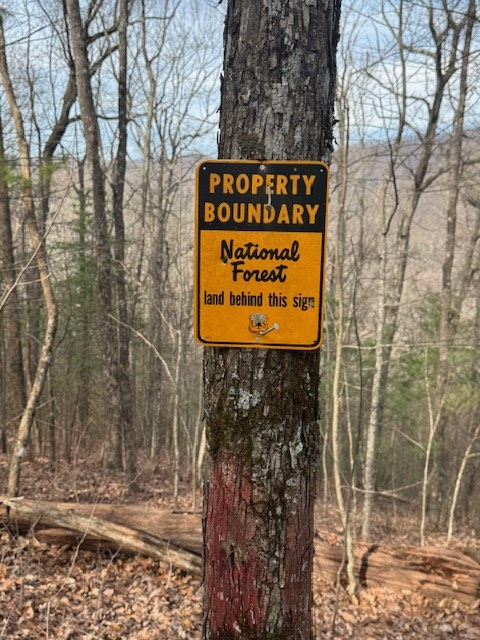 Lt 1,2,3 Abercrombie Estates, Suches, GA 30572 - Image #3